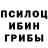 Галлюциногенные грибы GOLDEN TEACHER Arnie Nalayog