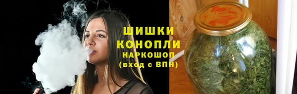 МДПВ Лагань