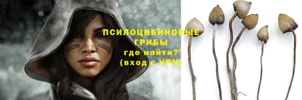 прущие крисы Лабытнанги