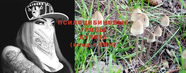 прущие крисы Лабытнанги