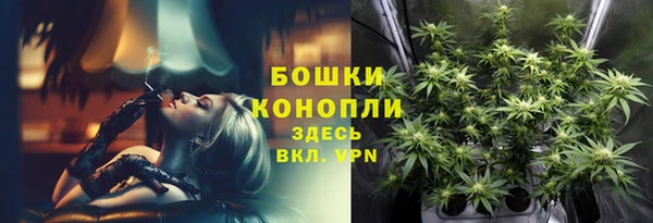 прущие крисы Лабытнанги