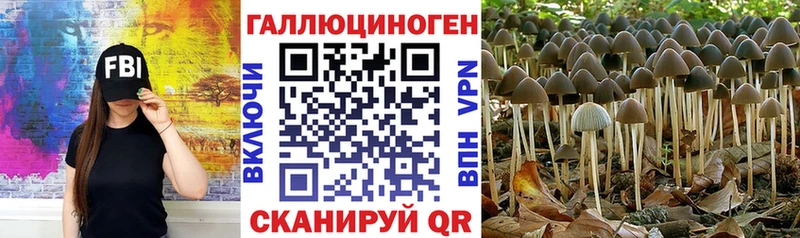 Купить закладки  Кропоткин  Галлюциногенные грибы Cubensis 